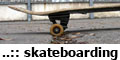 Krde skateboardovch pekek u koupalit