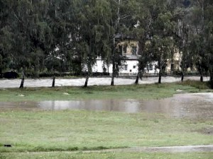 Povodňový val – stromy u koupaliště přežijí, břízy na Zvěřinci padnou